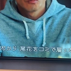 【高画質・超薄型】LG有機ELテレビ55型の画像