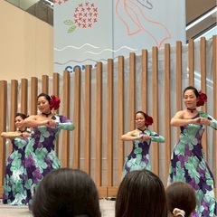 新しい仲間を大募集！の画像