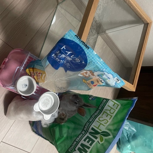 ハムスター飼育セット