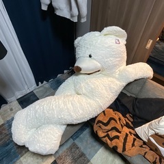 大きいくまのぬいぐるみの画像