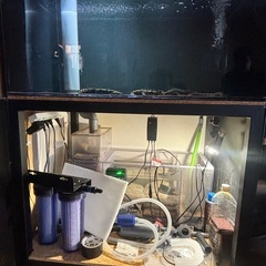 アクリル水槽
の画像