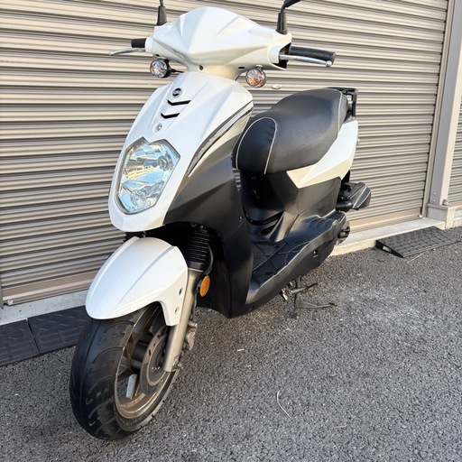 4460.大柄な一台　オービット50 シート新品　千葉県柏市　即日配送可能