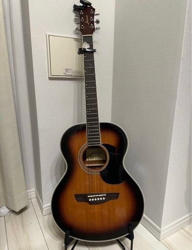 James J300A TSB アコースティックギター+本