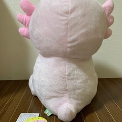 ウーパールーパーのぬいぐるみの画像