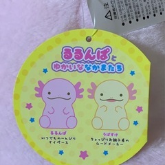 ウーパールーパーのぬいぐるみの画像