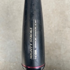 16ポイズングロリアス1610Mの画像