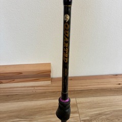 クオーテッド　スピニングロッドの画像