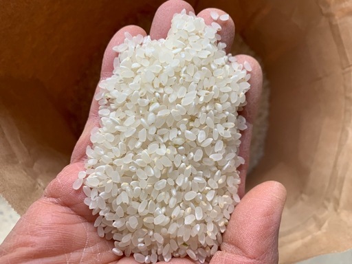 令和7年産 糸島雷山の米⑧