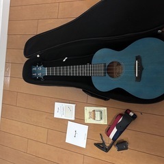 Enya ウクレレの画像