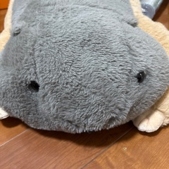 ぬいぐるみの画像