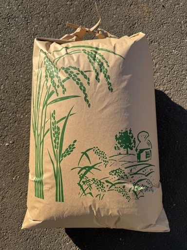 令和7年茨城産　玄米　35kg     安くて美味しいお米