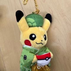 ピカチュウ　ご当地ぬいぐるみの画像