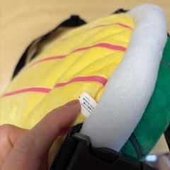 亀リュックの画像