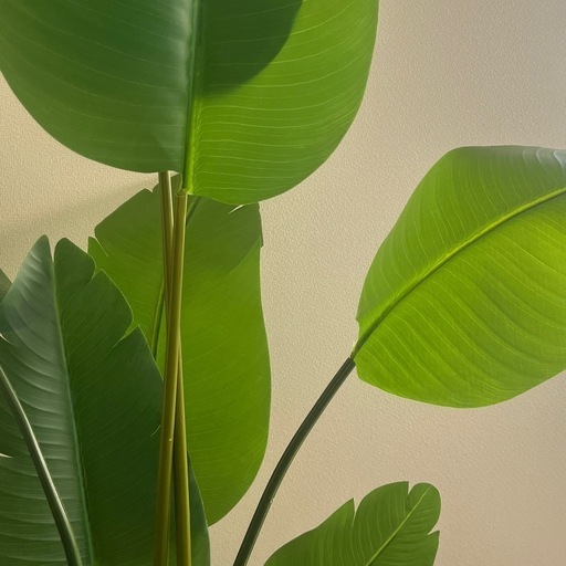 【未開封】IKEA大型フェイクグリーン　フェイカ
