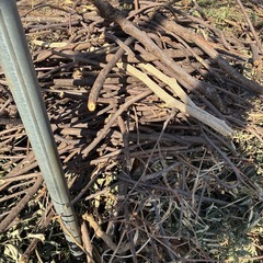 無料　丸太　木　枝　薪　の画像