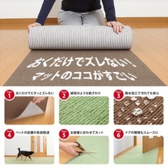 ペットが滑らないカーペットの画像