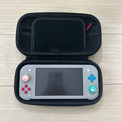 《美品》SwitchLightと保護ケース《SDカード含》※フィルム貼済