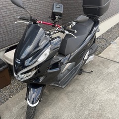 PCX125     JF81
の画像