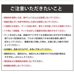 ペットが滑らないカーペットの画像