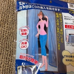 インテリア網戸　玄関、室内用の画像