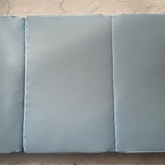 エアウィーヴ マットレス スマートZの画像