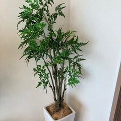 フェイクグリーン　ポリシャスの画像