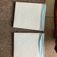 LION オシッコ加齢臭まで強力消臭砂 5.5Lの画像