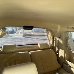 ステップワーゲンの画像