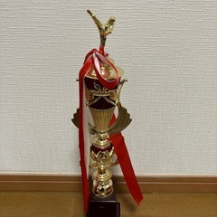 空手トロフィー3種とカップ大小の画像