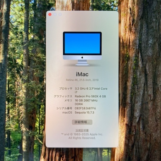 iMac Retina 4K 21.5 inch 2019 本体 