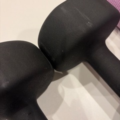 ダンベル10kg (おまけヨガマット)の画像