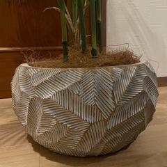 エミリオロバ　パーム　グリーン　定価77000円の画像