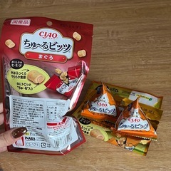 猫 ちゅーるビッツ の画像