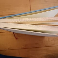 飛ぶ教室　ケストナーの画像