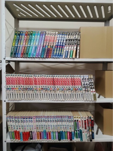 漫画100冊　立原あゆみコレクション