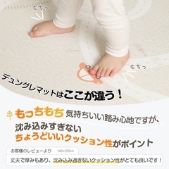 【3月下旬受渡】ベビープレイマットの画像