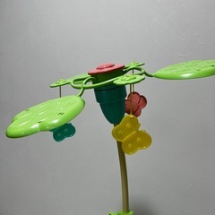 プーメリーの画像