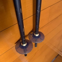 スキー　ストック　ディズニーの画像