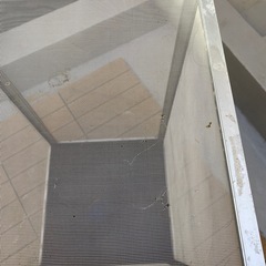 カメレオン用ケージ
の画像