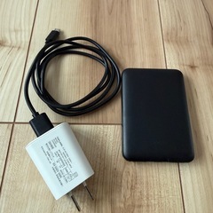 ダンロップ　電熱ベストの画像