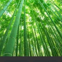 天草の暮らしをもっと便利に