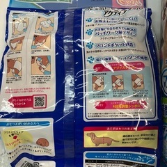 犬用　長時間おむつ　　2種の画像