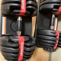 可変式ダンベル　24kg×2の画像