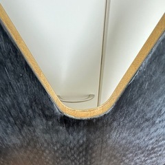 ゲンテンスティック　ビッグフィッシュ　アウトラインコアの画像