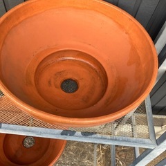 植木町　プランター　　もらってください！の画像