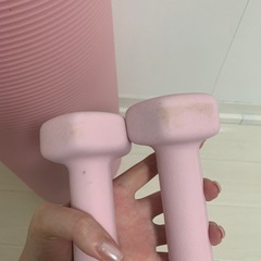 トレーニングマット　ダンベルの画像