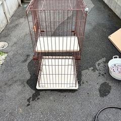 猫用飼育ゲージ
の画像