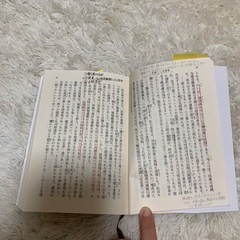 日蝕 一月物語 平野啓一郎の画像