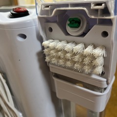 リンサークリーナー アイリスオオヤマの画像