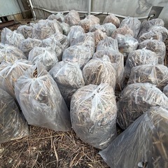 【6,000円お渡しします！】草、木をお引取いただける方!の画像